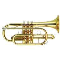 M2102H CORNET